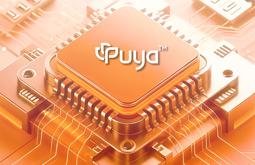 一图读懂DDPAY钱包股份2025年年报